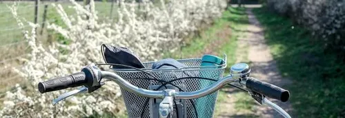 Des consultations citoyennes sur le climat organisées à Lille