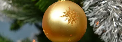 La vente de sapins de Noël autorisée pendant le confinement