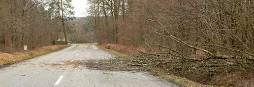Arbres arrachés, carambolage...Les dégâts de la tempête Bella dans...