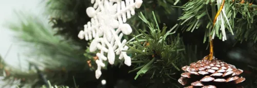 Dans quels points de collecte déposer son sapin de Noël ?