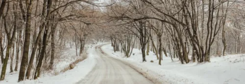 Les Hauts-de-France en vigilance orange neige-verglas
