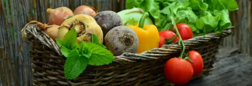 Des paniers de fruits et légumes à récupérer à la gare Lille-Flandres
