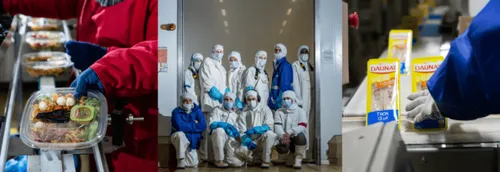 L'entreprise Daunat, dans l'Arrageois, recrute 50 saisonniers et CDI