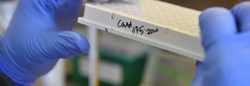 Un nouveau variant découvert en Belgique