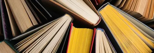 Une boîte de conserve contre un livre au Secours Populaire de Lomme