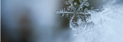 Vague de froid dans le Nord et le Pas-de-Calais cette semaine