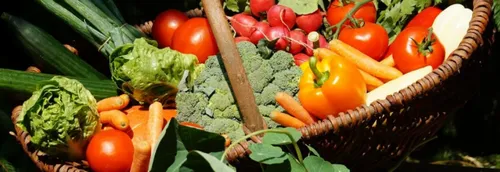 Deux nouveaux points de collecte Court Circuit dans la MEL