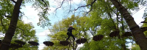 MEL : Les parcs d'accrobranches rouvrent ce mercredi 19 mai