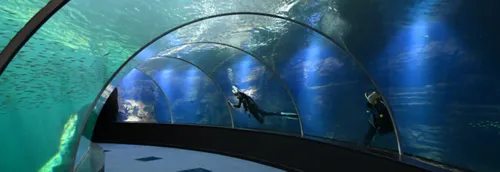 Nausicaà rouvre ce mercredi 19 mai