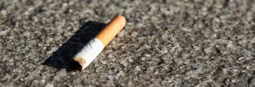 Deux opérations de ramassage de mégots samedi à Lille et...