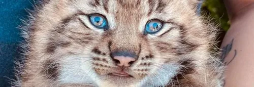 Carnet rose au zoo de Fort-Mardyck