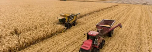 Le secteur agricole recrute 20 000 personnes dans la région