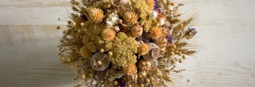 Des plantes à petits prix tout le week-end à Lille