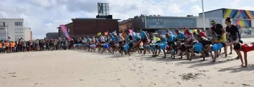 Retour du championnat de France de brouette humaine à Malo-les-Bains