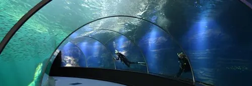 Des tests proposés à l'entrée de Nausicaa