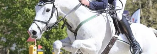 Equitation : médaille de bronze pour la France en concours général