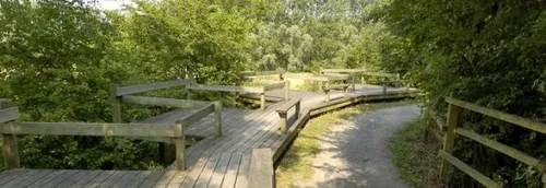 Des artistes et associations recherchés pour les Espaces Naturels...