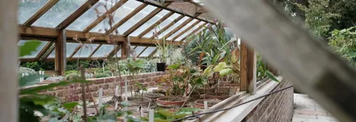 Un troc de plantes au parc Mosaïc ce dimanche