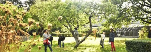 C'est la Fête de l'Automne à Mons-en-Barœul dimanche