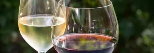 Le Salon des Vignerons Indépendants de retour à Lille