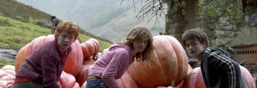 Le casting de Harry Potter réuni pour un épisode spécial !