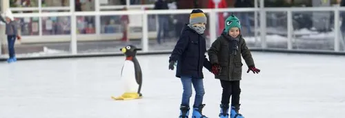 Les idées de sorties du week-end dans la région