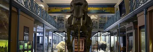 Les travaux du Musée d'Histoire Naturelle de Lille validés