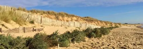 Que deviennent nos sapins dans la région après les fêtes ?