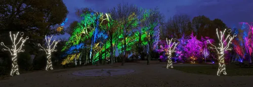 Un spectacle lumineux dans les rues de Barlin ce week-end