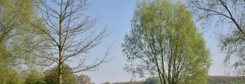 Des travaux ont débuté au parc du Héron