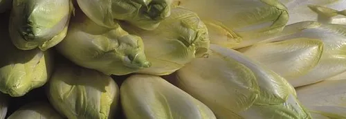 Une distribution de denrées alimentaires pour les étudiants ce lundi