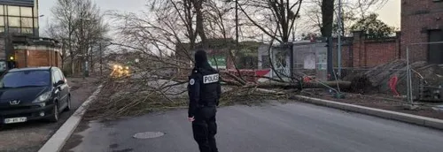 Tempête Eunice : Doriane Bécue invite les habitants touchés à se...