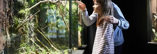 Un concours photo organisé au zoo d'Amiens