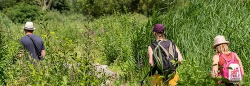 Armentières : Les Près du Hem rouvrent ce mercredi