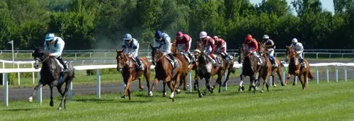 Une gagnante du Quinté à Lille remporte plus d'un million d'euros