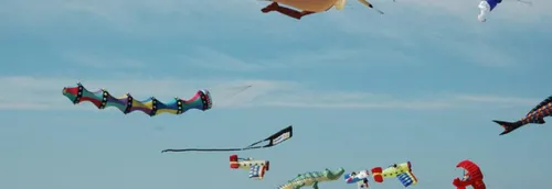 Cerfs-volants à Berck : les conseils de la préfecture pour...