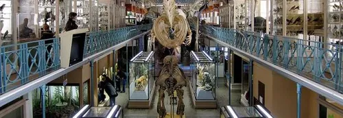 Une nocturne autour des 5 sens au musée d'histoire naturelle de Lille