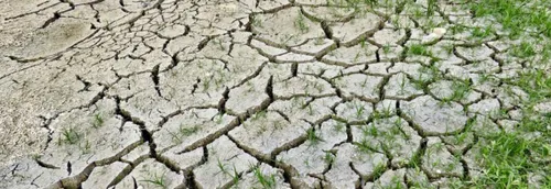 La vigilance sécheresse prolongée dans le Nord