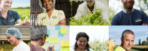 Bonduelle recrute des saisonniers dans la région