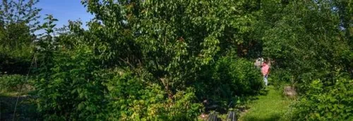 Des Chemins de la Forme installés à Lille