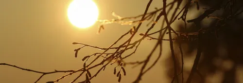 Il fait aussi chaud à Lille qu'à Rennes il y a 30 ans