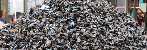 Les détails du grand retour de la braderie de Lille