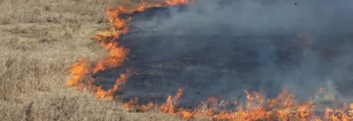 Chaleur : des actions de sensibilisation auprès des agriculteurs de...