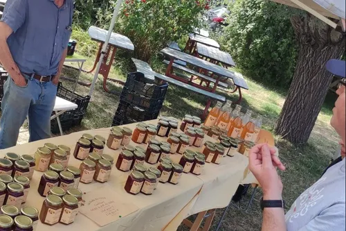 Un marché au bord de l'eau à Clairmarais