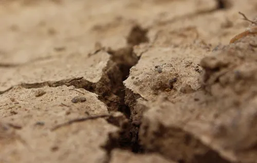 Sécheresse : des secteurs du Nord-Pas-de-Calais en vigilance