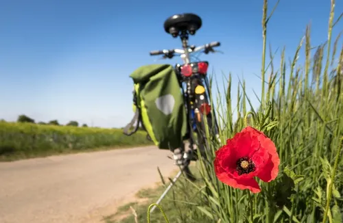 Nord : la préfecture interdit le passage de cyclistes nus
