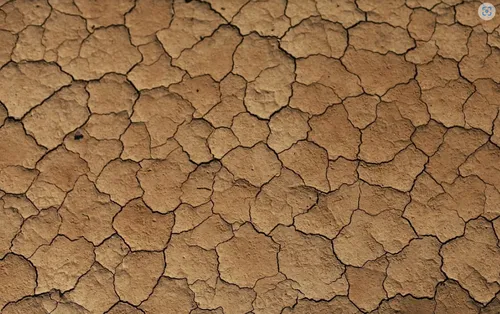 Des contrôles liés aux restrictions d'eau effectués dans le Nord