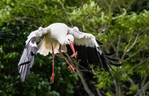 Bio-Topia a rouvert ses portes sur le littoral