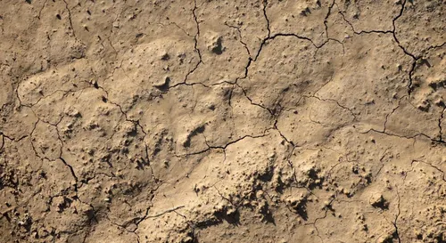 Sécheresse : le bassin de l'Yser placé en « crise » dans le Nord