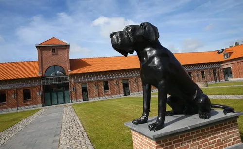 L'entraînement du LOSC ouvert aux supporters ce mardi